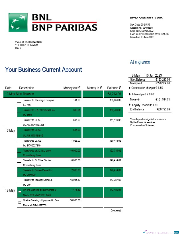 Download BNL Bank enterprise statement Word and PDF template Photoshop template
